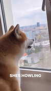 aryssa614 Altpins Profile Picture
