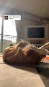 amyeett Altpins Profile Picture