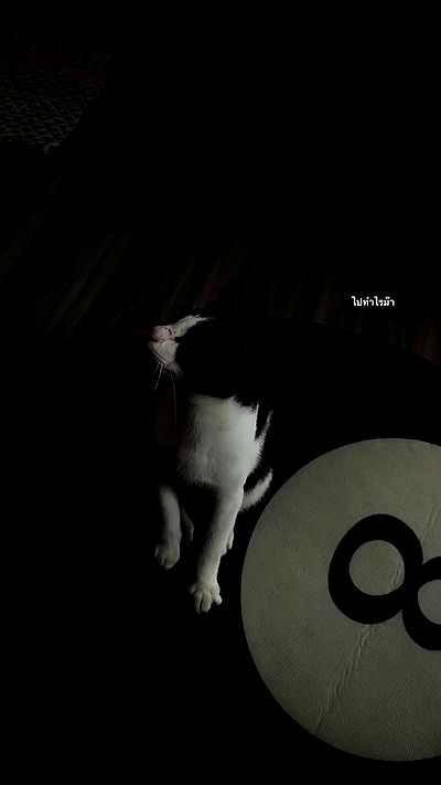 oqr0_ oqr0_ archive video