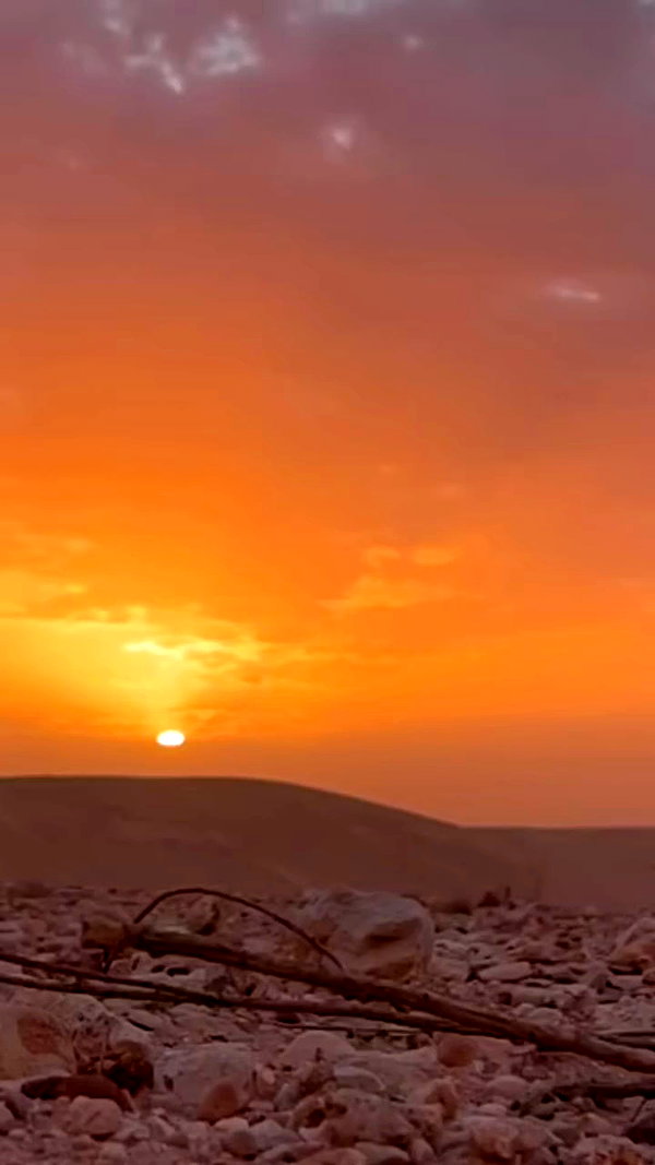 hadas_mayer_ archive video preview