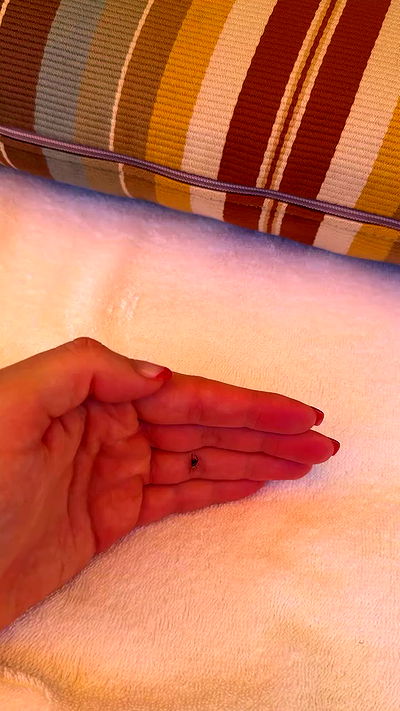 sedonaskyxo sedonaskyxo archive video