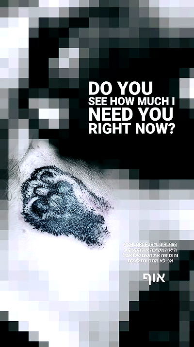 moonyyyya moonyyyya archive video