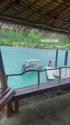 aleiisha.piixiie Altpins Profile Picture