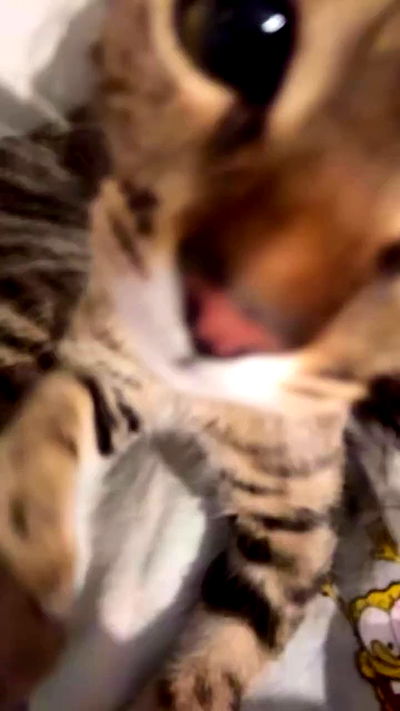 tutiiiiii666 tutiiiiii666 archive video