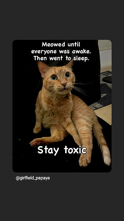 moonyyyya moonyyyya archive video