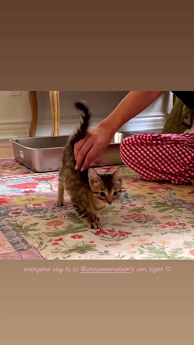 neiimaaa neiimaaa archive video