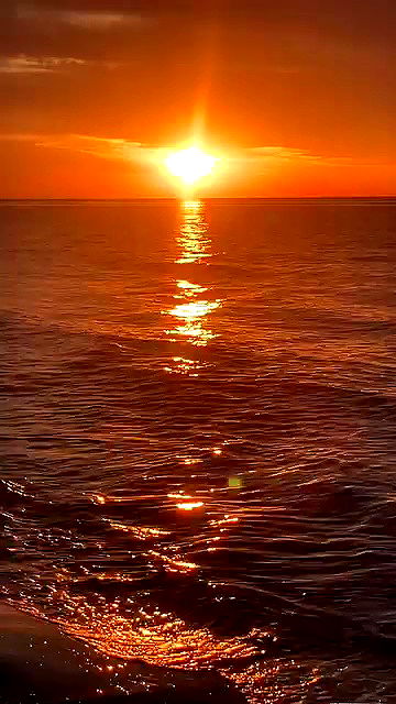 elianachetrit archive video preview