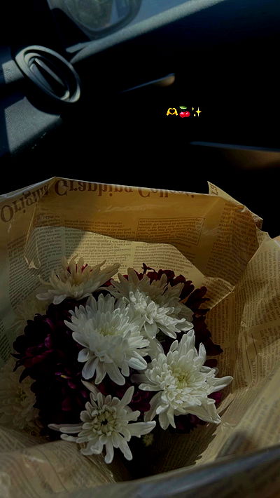 rebecka_tsadok rebecka_tsadok archive video