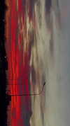 tooonytoony Altpins Profile Picture