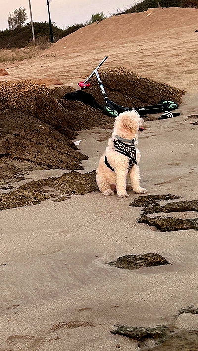 feelbetterinmysweater feelbetterinmysweater archive video