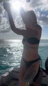 armanitraylor Altpins Profile Picture