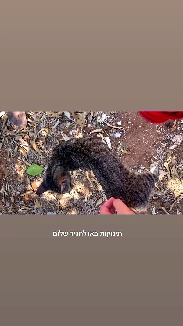mia_rihan_ archive video preview