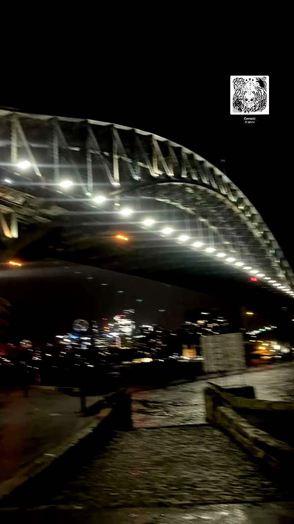 ella.norman02 archive video preview