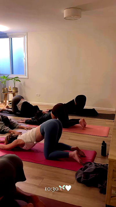 talweisswasser talweisswasser archive video