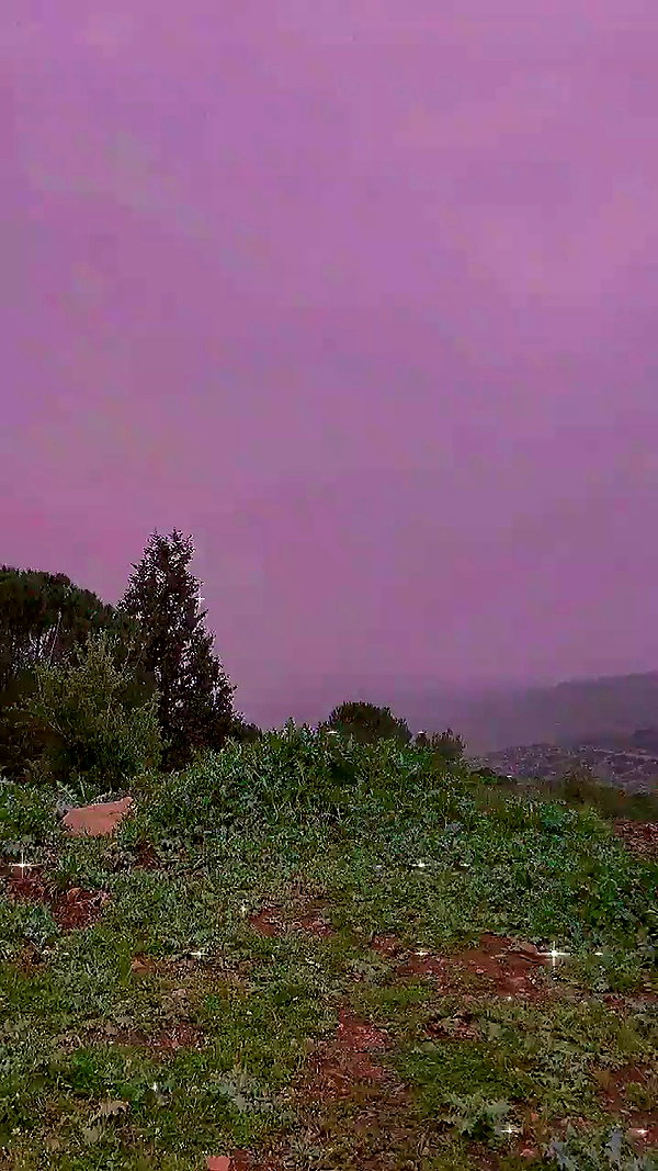 feelbetterinmysweater archive video preview