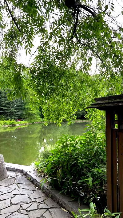 biton__adi biton__adi archive video