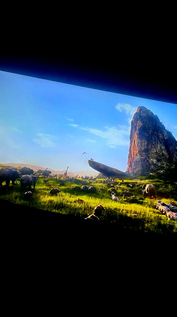 calyen archive video preview