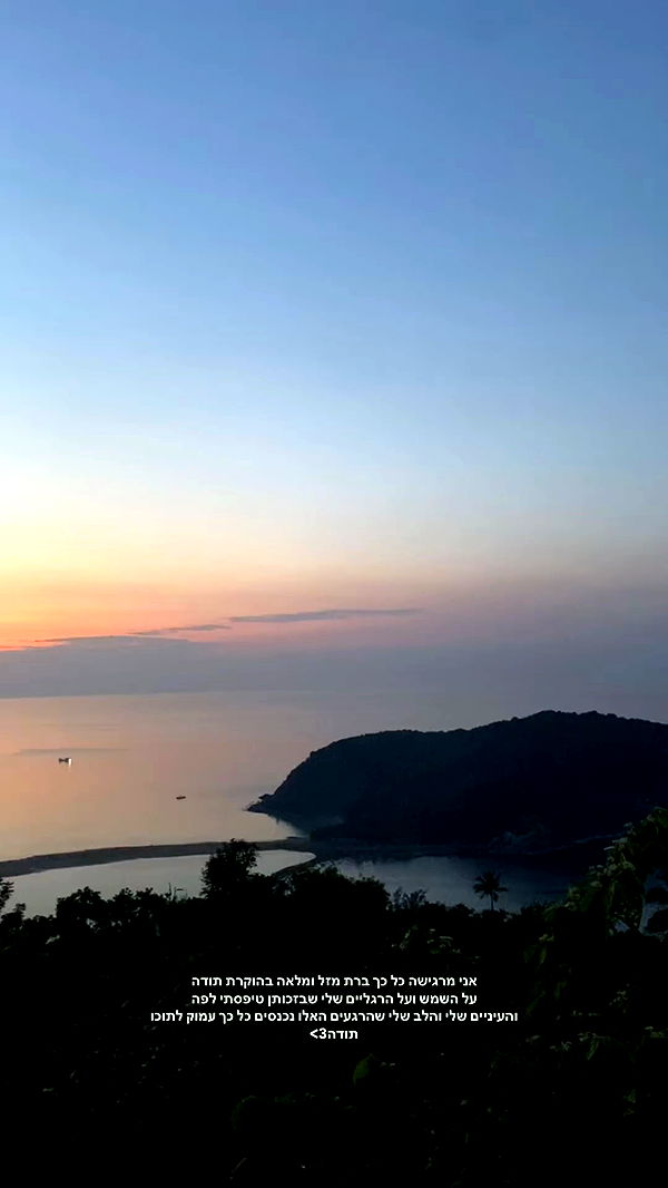 yam_adler archive video preview