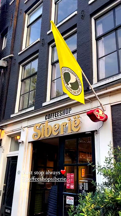 bakedsloths bakedsloths archive video