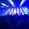 milena_kofef Altpins Profile Picture
