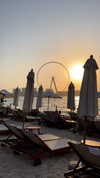 tohar.harosh Altpins Profile Picture