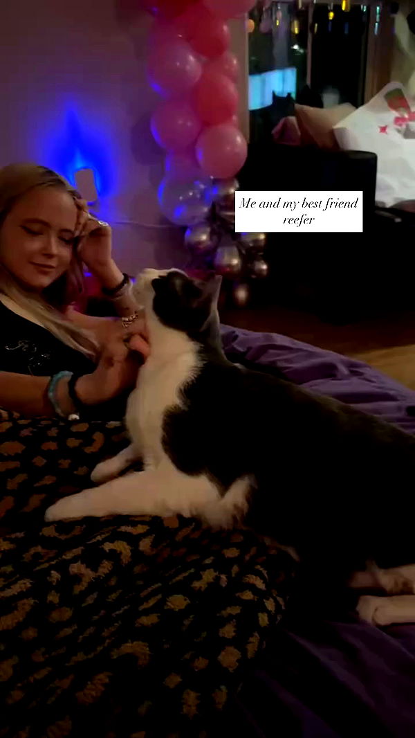 tatum.ricee archive video preview