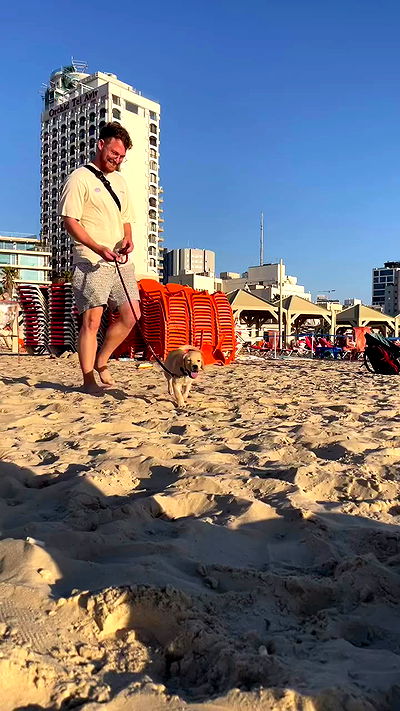 shirakor_ shirakor_ archive video