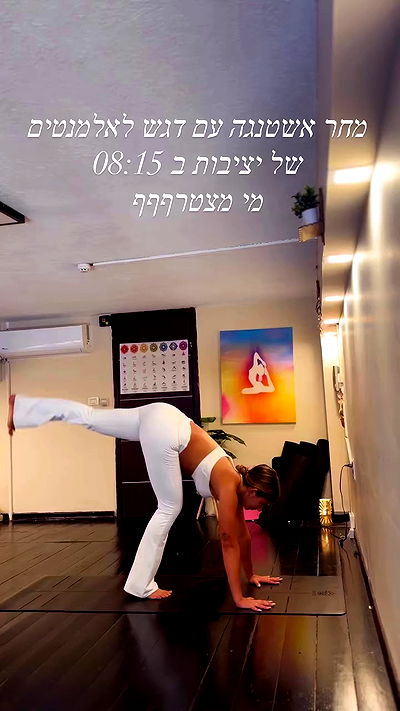 liad.arazi liad.arazi archive video