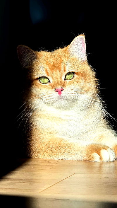 itsilanosh itsilanosh archive video