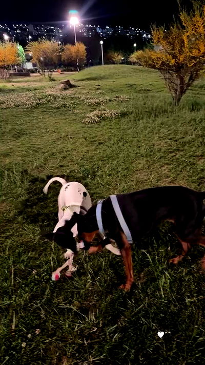 noeemiimii noeemiimii archive video