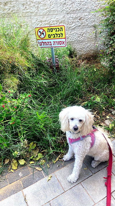 feelbetterinmysweater feelbetterinmysweater archive video