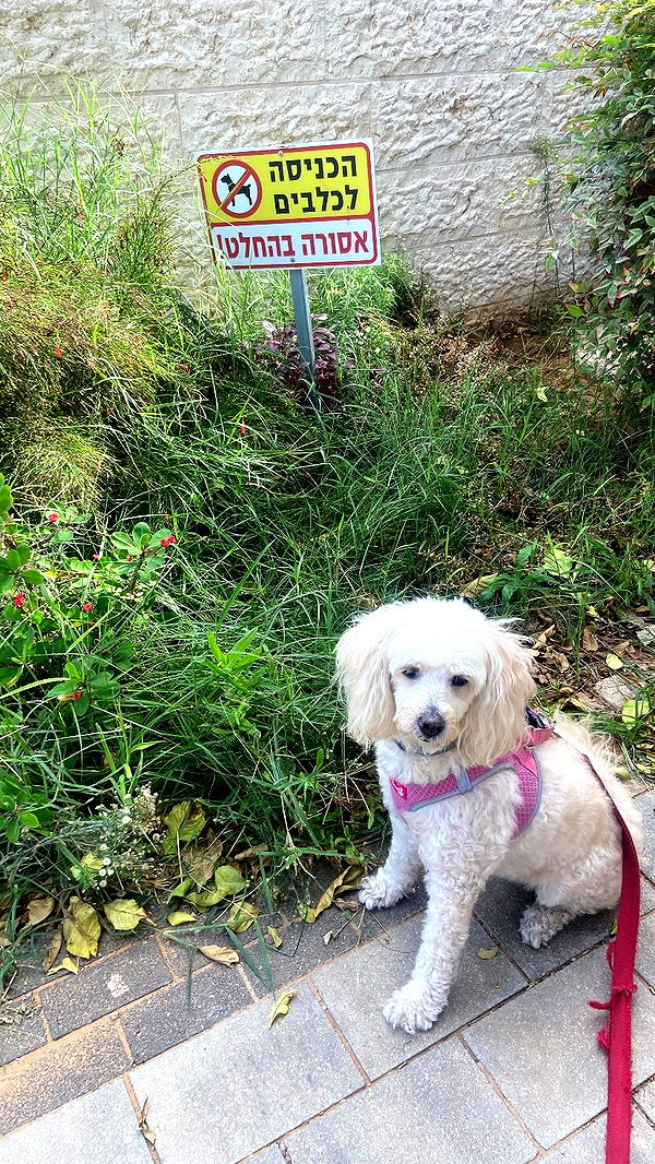 feelbetterinmysweater archive video preview