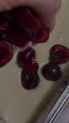 ilana_kotlovker Altpins Profile Picture
