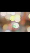xiaoxiao_io Altpins Profile Picture