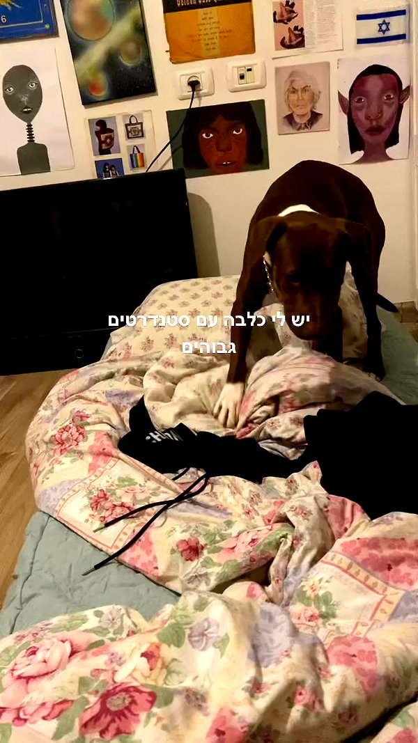 shvuty__ archive video preview