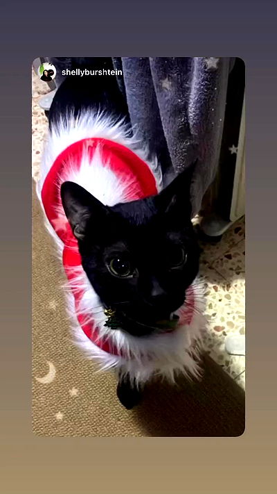 feelbetterinmysweater feelbetterinmysweater archive video