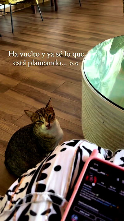 shunli__mei shunli__mei archive video