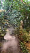 shelly_roberin Altpins Profile Picture