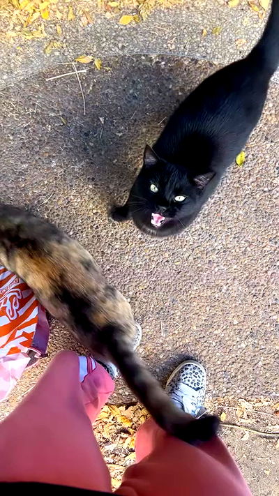 hellokittyangel666 hellokittyangel666 archive video