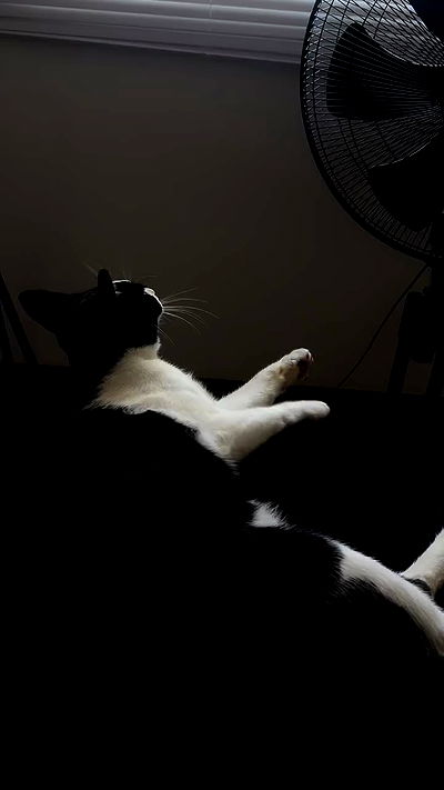 oqr0_ oqr0_ archive video