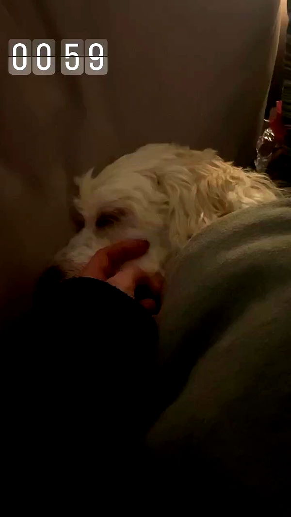 feelbetterinmysweater archive video preview