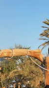 eden_gadamo__ Altpins Profile Picture