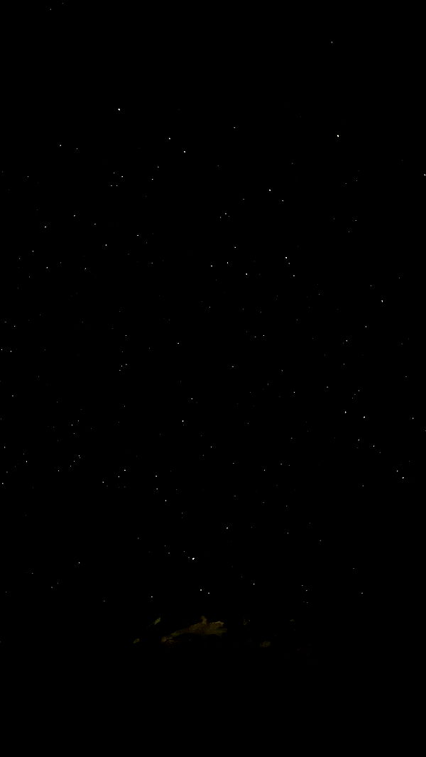 nyityam archive video preview