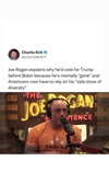 charliekirk1776 Altpins Profile Picture