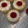 newpoort Altpins Profile Picture