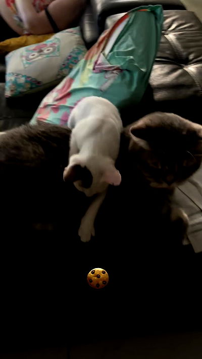 natalllluli natalllluli archive video