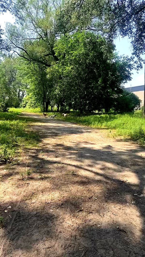 jenns0trill archive video preview