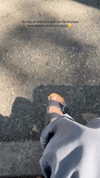 domelipa Altpins Profile Picture