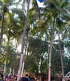 noa_mendel_ Altpins Profile Picture