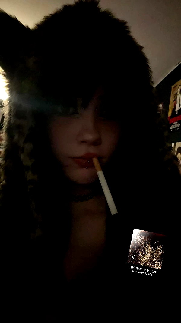 _kittyy_kate archive video preview